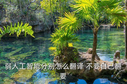 弱人工智能分別怎么翻譯 不要自己翻要