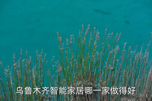 烏魯木齊智能家居哪一家做得好
