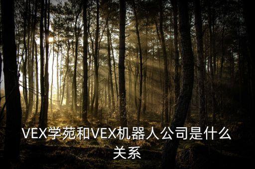 VEX學(xué)苑和VEX機(jī)器人公司是什么關(guān)系