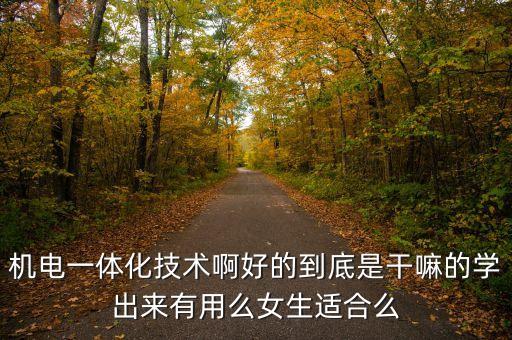 機(jī)電一體化技術(shù)啊好的到底是干嘛的學(xué)出來有用么女生適合么