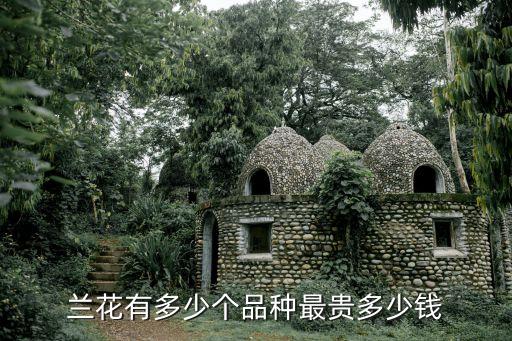蘭花有多少個品種最貴多少錢