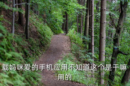 載愛智能科技是干什么的，載媽咪愛的手機應用不知道這個是干嘛用的