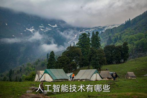 人工智能技術(shù)有哪些