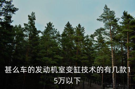 甚么車的發(fā)動機室變缸技術的有幾款15萬以下