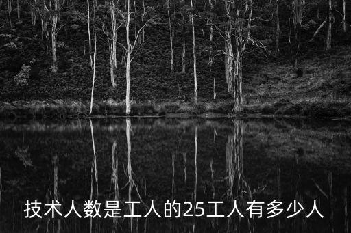 技術(shù)人數(shù)是工人的25工人有多少人