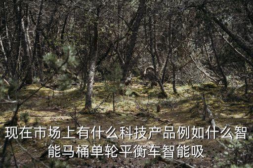 現(xiàn)在市場上有什么科技產(chǎn)品例如什么智能馬桶單輪平衡車智能吸