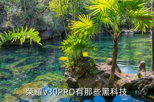 智能駕駛領域黑科技有哪些，榮耀v30PRO有那些黑科技