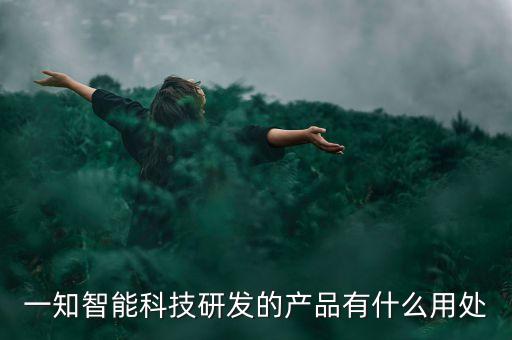 一知智能科技研發(fā)的產(chǎn)品有什么用處