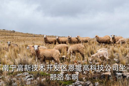 南寧高新技術開發(fā)區(qū)恩度高科技公司坐那路車啊
