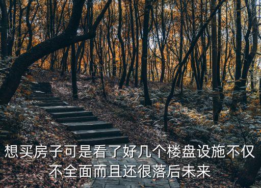 想買房子可是看了好幾個(gè)樓盤設(shè)施不僅不全面而且還很落后未來