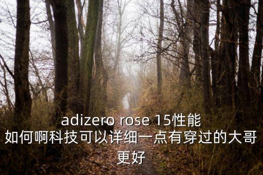 adizero rose 15性能如何啊科技可以詳細(xì)一點(diǎn)有穿過(guò)的大哥更好