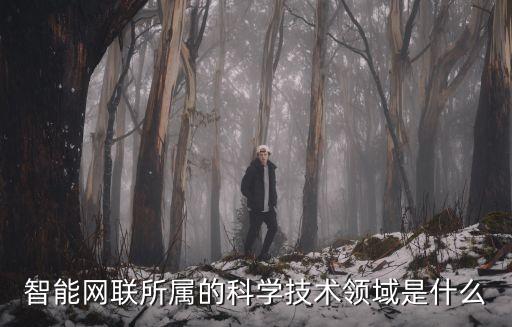 智能網(wǎng)聯(lián)所屬的科學(xué)技術(shù)領(lǐng)域是什么