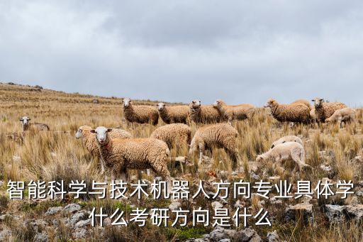 智能科學(xué)與技術(shù)機(jī)器人方向?qū)I(yè)具體學(xué)什么考研方向是什么
