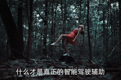 什么才是真正的智能駕駛輔助