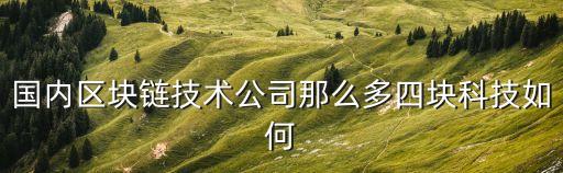 國內(nèi)區(qū)塊鏈技術(shù)公司那么多四塊科技如何