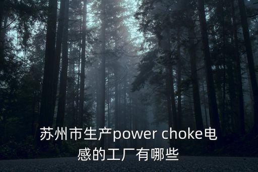 蘇州市生產(chǎn)power choke電感的工廠有哪些