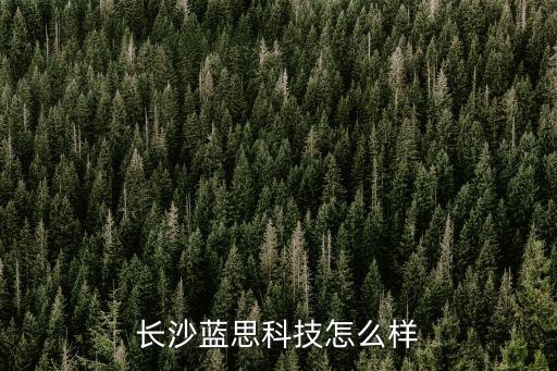 長沙藍(lán)思科技怎么樣