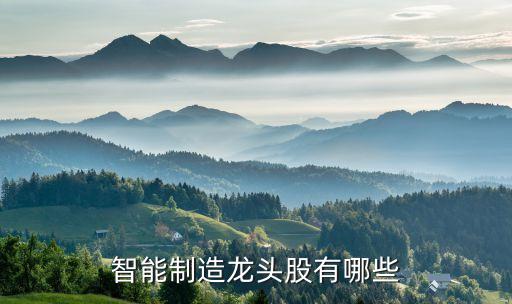 智能化科技龍頭公司有哪些，智能制造龍頭股有哪些