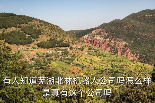 瑋希智能科技怎么樣，有人知道蕪湖北林機(jī)器人公司嗎怎么樣是真有這個(gè)公司嗎