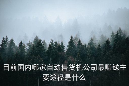 目前國內(nèi)哪家自動售貨機(jī)公司最賺錢主要途徑是什么