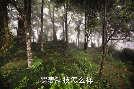 羅麥科技怎么樣