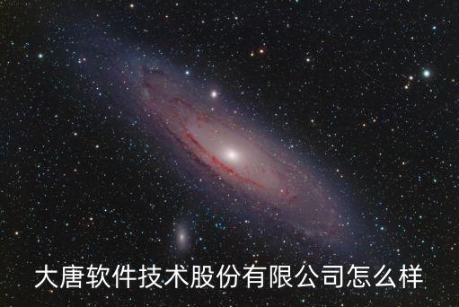 大唐軟件技術(shù)股份有限公司怎么樣