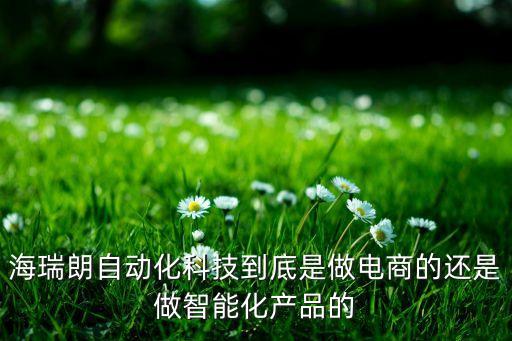 海瑞朗自動化科技到底是做電商的還是做智能化產(chǎn)品的
