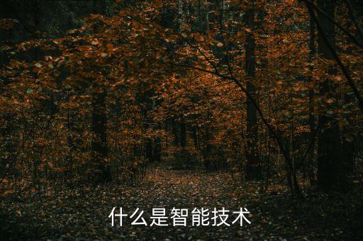 上海推廣智能科技包括什么，上海的人工智能企業(yè)有哪些是做計(jì)算機(jī)視覺的