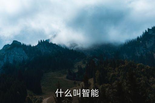 黑科技和智能有什么區(qū)別，oppo的findx能用住嗎求解