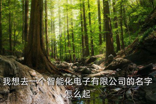 我想去一個智能化電子有限公司的名字怎么起