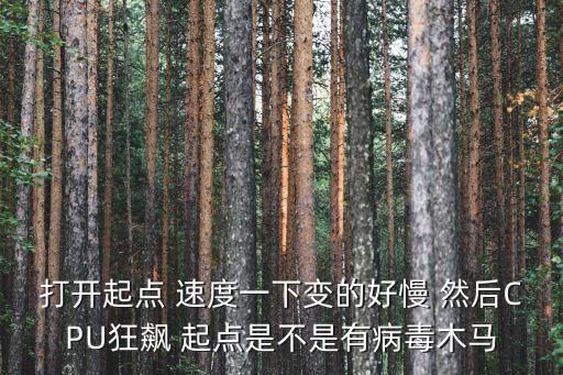 打開起點(diǎn) 速度一下變的好慢 然后CPU狂飆 起點(diǎn)是不是有病毒木馬