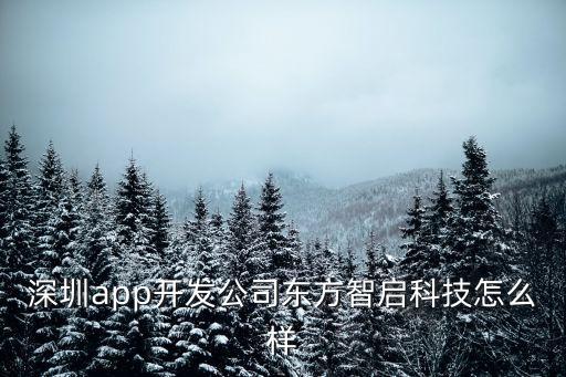 深圳東方智能科技怎么樣，東方科技怎么樣