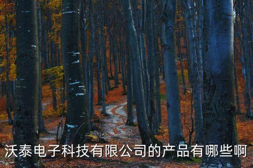 沃泰電子科技有限公司的產(chǎn)品有哪些啊