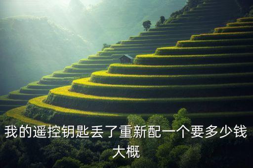 我的遙控鑰匙丟了重新配一個(gè)要多少錢(qián)大概