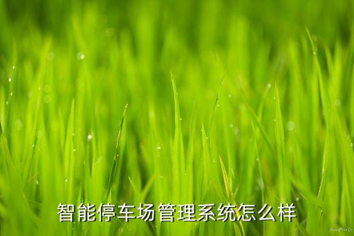 智能停車場管理系統(tǒng)怎么樣