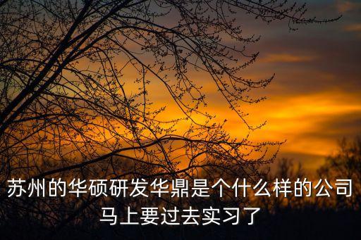 蘇州的華碩研發(fā)華鼎是個什么樣的公司馬上要過去實習(xí)了
