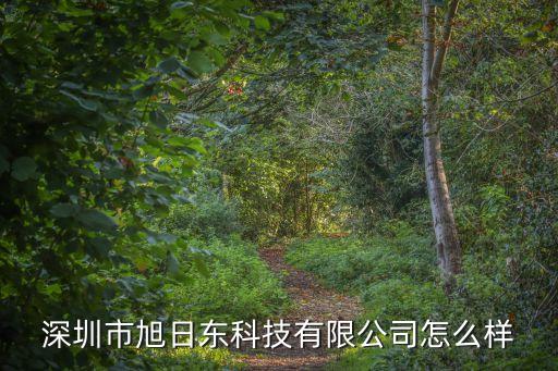 旭日東智能科技怎么樣，天機工業(yè)機器人怎么樣有誰用過他們家機子么