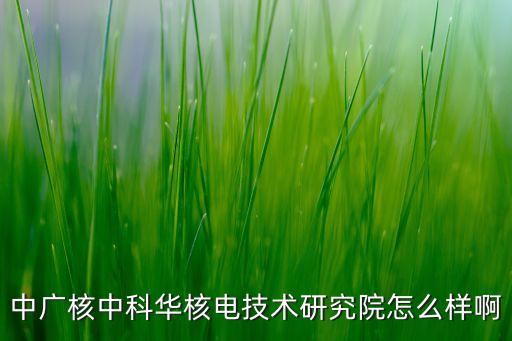 中廣核智能科技怎么樣，在中廣核做技術(shù)支持能轉(zhuǎn)成廣核自己的員工嗎