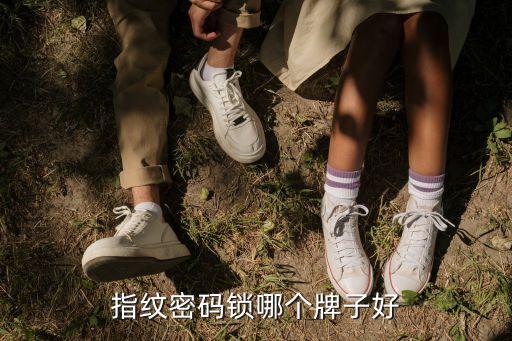 指紋密碼鎖哪個(gè)牌子好