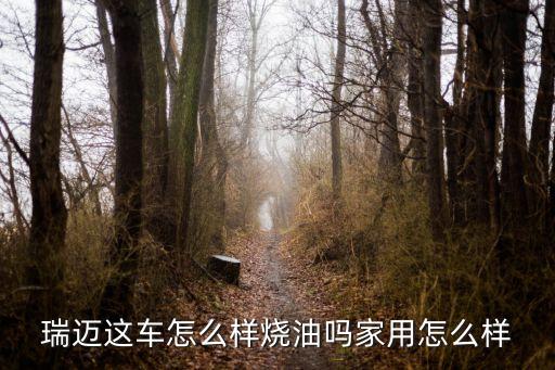 銳邁智能科技怎么樣，銳邁的功能主治
