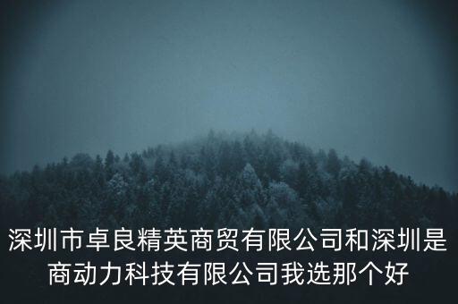 深圳市卓良精英商貿(mào)有限公司和深圳是商動(dòng)力科技有限公司我選那個(gè)好
