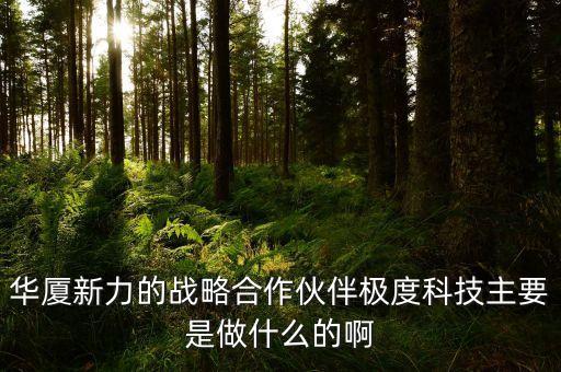 華廈新力的戰(zhàn)略合作伙伴極度科技主要是做什么的啊