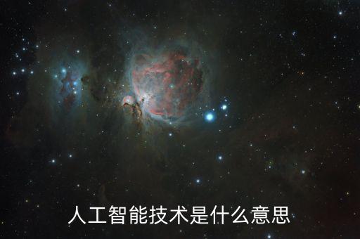 人工智能技術(shù)是什么意思