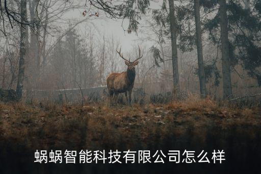 蝸蝸智能科技有限公司怎么樣