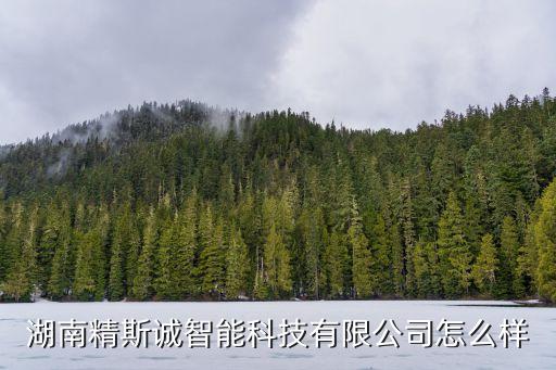 雙誠(chéng)智能科技公司怎么樣，湖南精斯誠(chéng)智能科技有限公司怎么樣