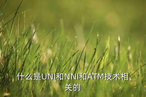 什么是UNI和NNI和ATM技術(shù)相關(guān)的