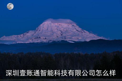 龍崗區(qū)會(huì)計(jì)智能科技怎么樣，深圳市智科精細(xì)管理有限公司怎么樣