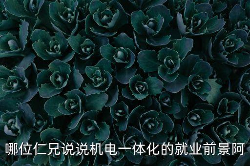 哪位仁兄說說機(jī)電一體化的就業(yè)前景阿