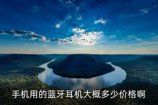 手機用的藍牙耳機大概多少價格啊