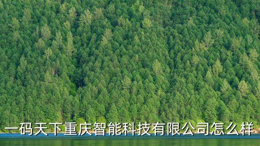 一碼天下重慶智能科技有限公司怎么樣